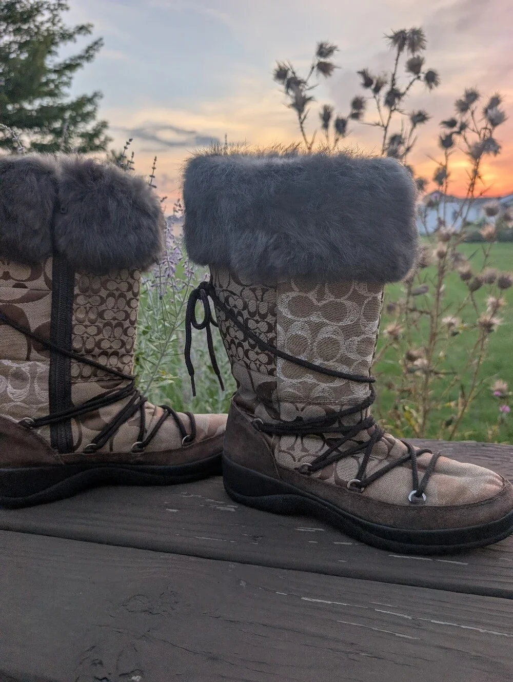 Coach Laurilyn Signature Logo Lace-Up Winter Boots with Gray Shearling Cuffs